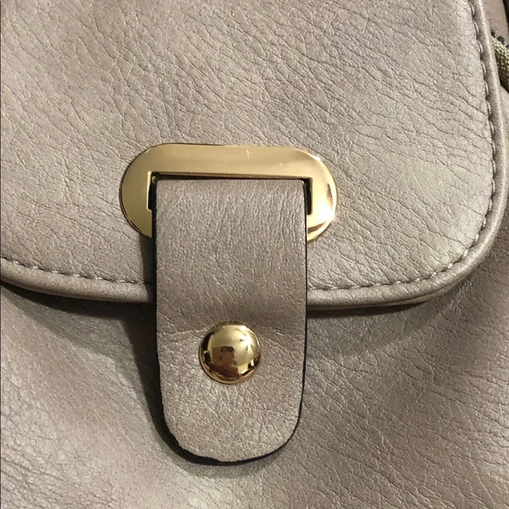 Telena Taupe Mini Slingbag with Front Flap and Gold Hardware
